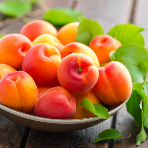 Fresh Apricot Suppliers Spain